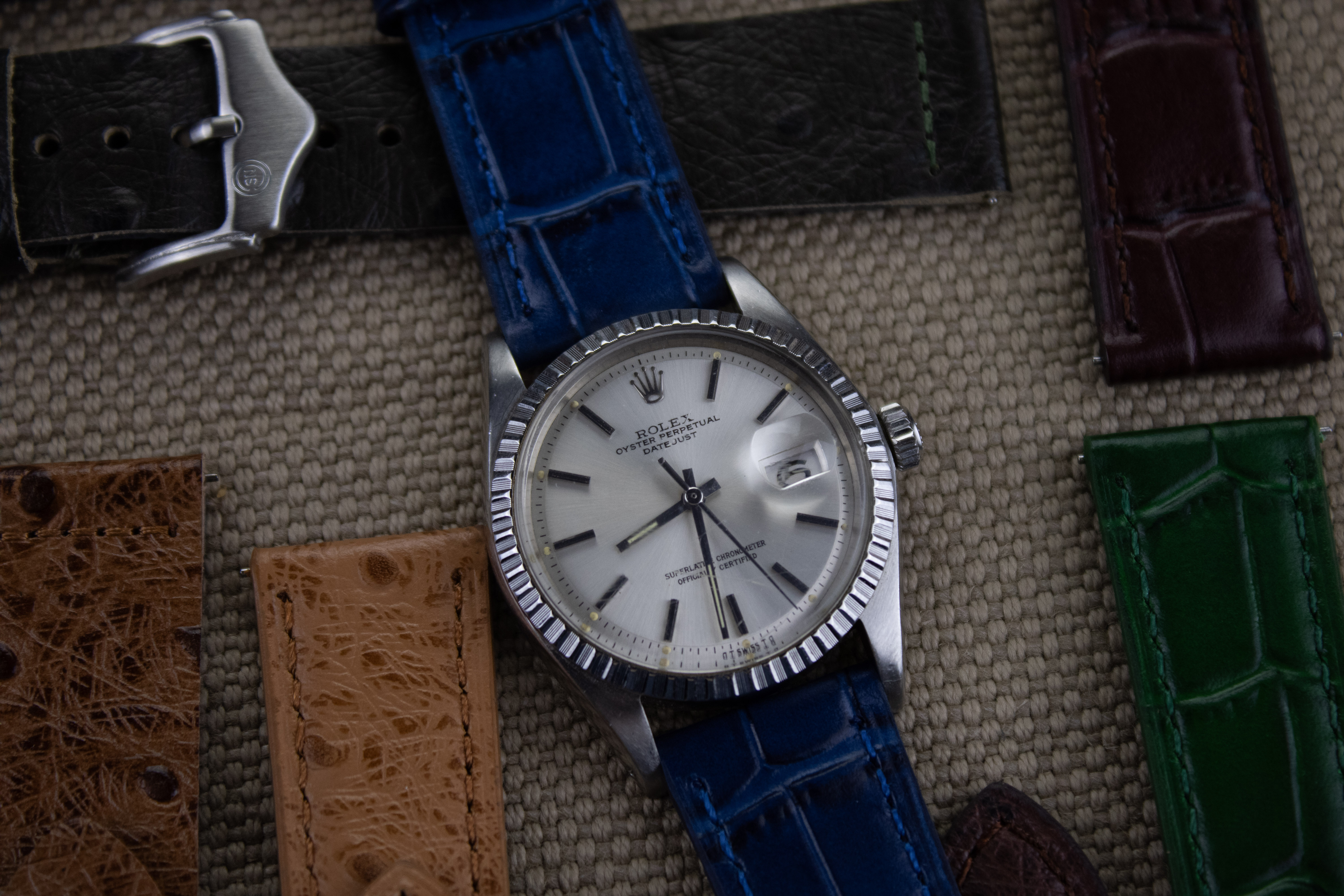 Blue Alligator watch band on a Rolex Datejust